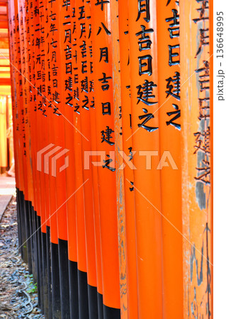 京都　伏見稲荷大社　千本鳥居（京都府京都市伏見区） 136648995