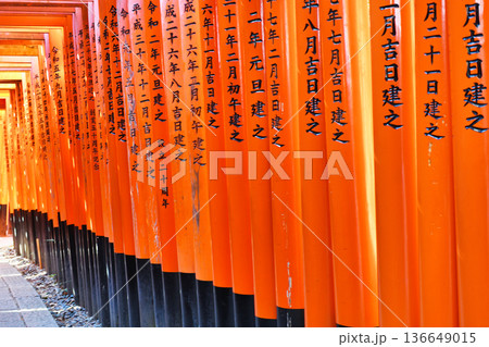 京都　伏見稲荷大社　千本鳥居（京都府京都市伏見区） 136649015