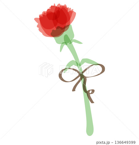 母の日のための 透け感カーネーションシリーズ｜リボンつきカーネーション（一輪） 136649399