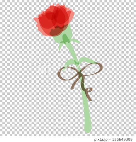 母の日のための 透け感カーネーションシリーズ｜リボンつきカーネーション（一輪） 136649399