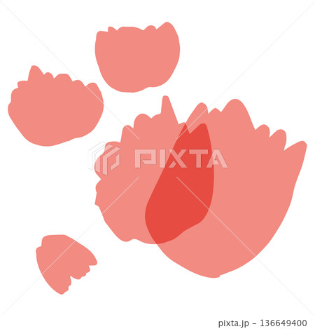 母の日のための 透け感カーネーションシリーズ|カーネーションの花びら 母の日のための 透け感カーネーションシリーズ|カーネーションの花びら 136649400