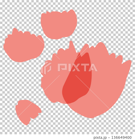 母の日のための 透け感カーネーションシリーズ|カーネーションの花びら 母の日のための 透け感カーネーションシリーズ|カーネーションの花びら 136649400