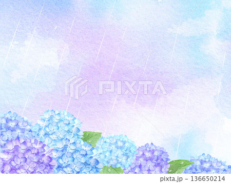 水彩で描いた雨の中の紫陽花の景色　 136650214