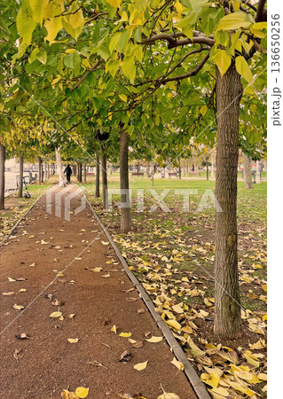 Autumn Path at Marmara Seashore, Istanbul. A peaceful walkway in an Istanbul park during autumn, featuring fallen yellow leaves and a view of the Marmara coast. Autumn Path at Marmara Seashore, Istanbul. A peaceful walkway in an Istanbul park during autumn, featuring fallen yellow leaves and a view of the Marmara coast. 136650256