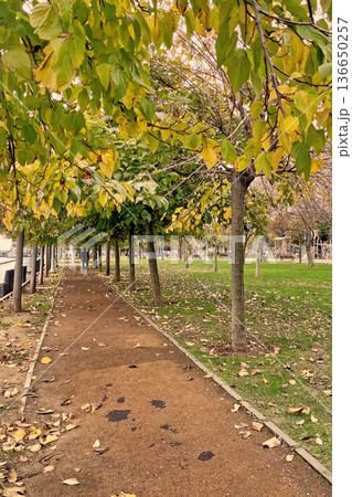 Autumn Path at Marmara Seashore, Istanbul. A peaceful walkway in an Istanbul park during autumn, featuring fallen yellow leaves and a view of the Marmara coast. Autumn Path at Marmara Seashore, Istanbul. A peaceful walkway in an Istanbul park during autumn, featuring fallen yellow leaves and a view of the Marmara coast. 136650257