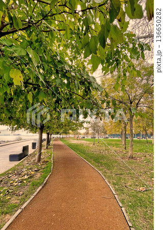 Autumn Path at Marmara Seashore, Istanbul. A peaceful walkway in an Istanbul park during autumn, featuring fallen yellow leaves and a view of the Marmara coast. Autumn Path at Marmara Seashore, Istanbul. A peaceful walkway in an Istanbul park during autumn, featuring fallen yellow leaves and a view of the Marmara coast. 136650282
