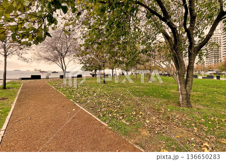 Autumn Path at Marmara Seashore, Istanbul. A peaceful walkway in an Istanbul park during autumn, featuring fallen yellow leaves and a view of the Marmara coast.  136650283