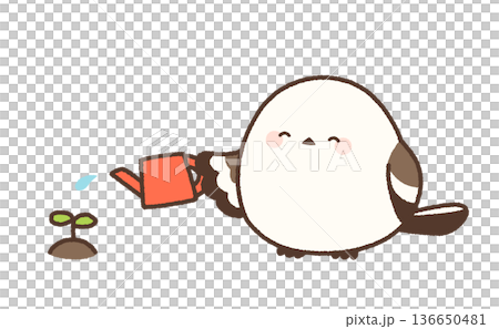 一隻微笑的長尾山雀正在給樹葉澆水。 136650481