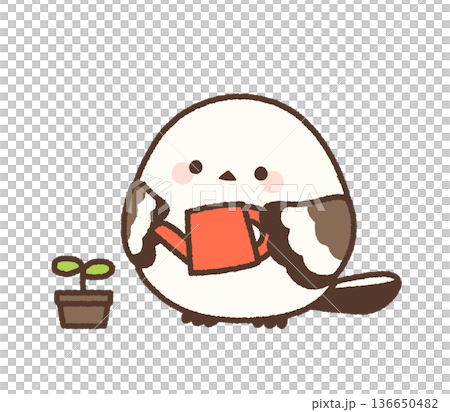 一隻長尾山雀正盯著花盆。 136650482