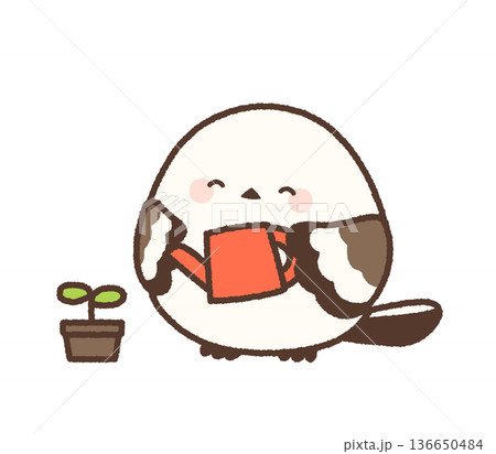 植木鉢を笑顔で見守るシマエナガ 136650484