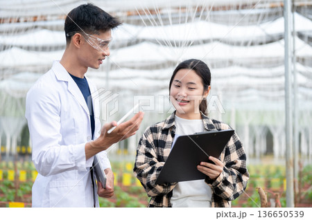 Asian agricultural scientist man talking to woman farmer holding clipboard as working in greenhouse. 136650539