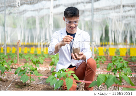 Asian agricultural scientist man holding beaker testing on planting soil working in greenhouse farm. Asian agricultural scientist man holding beaker testing on planting soil working in greenhouse farm. 136650551