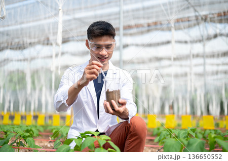 Asian agricultural scientist man holding beaker testing on planting soils working in greenhouse farm Asian agricultural scientist man holding beaker testing on planting soils working in greenhouse farm 136650552