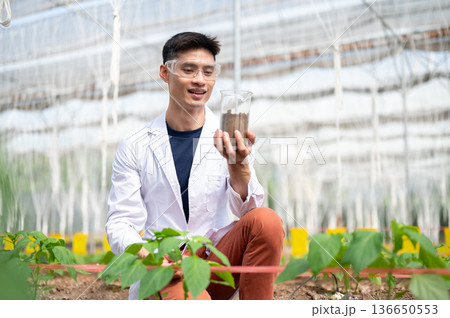 Asian agricultural scientist man holding beaker looking at planting soils working in greenhouse farm 136650553