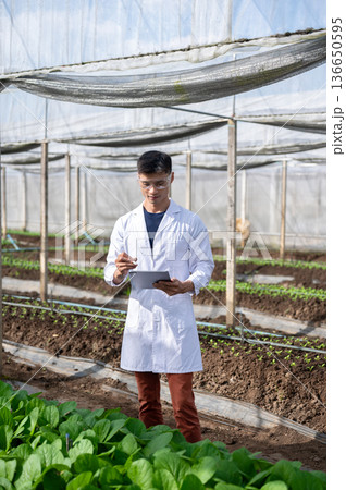 Glasses asian agricultural scientist man in lab coat writing in tablet observing in greenhouse farm. Glasses asian agricultural scientist man in lab coat writing in tablet observing in greenhouse farm. 136650595