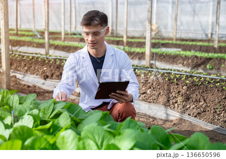 Glasses asian agricultural scientist man holding tablet sitting observing plant in greenhouse farm. 136650596