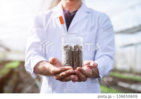 Close up of agricultural scientist's hands holding glass beaker with plant soils in greenhouse farm 136650609