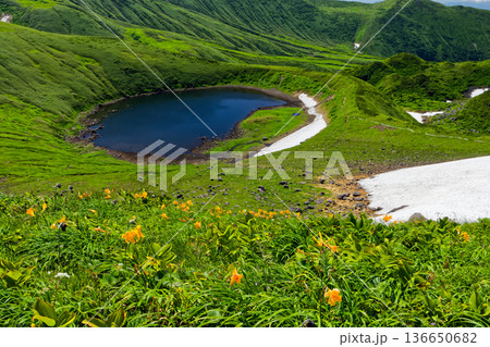 鳥海山・御浜付近のニッコウキスゲ群落と鳥海湖 136650682