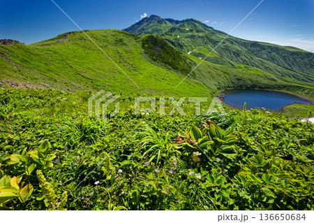 御浜付近から見る夏の鳥海湖と鳥海山 御浜付近から見る夏の鳥海湖と鳥海山 136650684