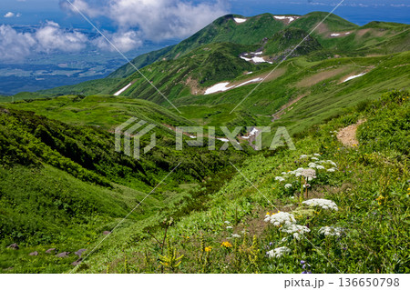 高山植物咲く鳥海山への登りから見る千畳ヶ原と御浜付近の稜線 高山植物咲く鳥海山への登りから見る千畳ヶ原と御浜付近の稜線 136650798
