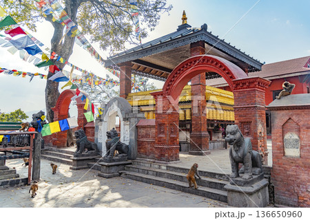 Nepalese Buddhist Temples in Kathmandu 136650960