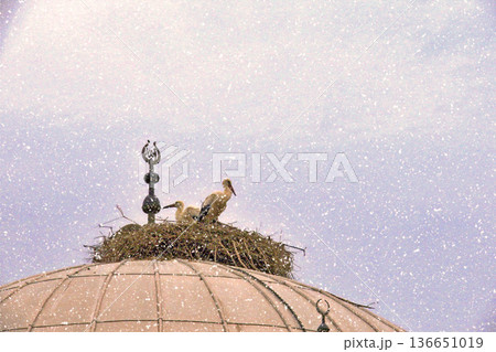 Storks Nesting on Mosque Dome in Winter Snow. White stork rests in a large twig nest atop a traditional mosque dome during a gentle winter snowfall, symbolizing peace and nature.  136651019