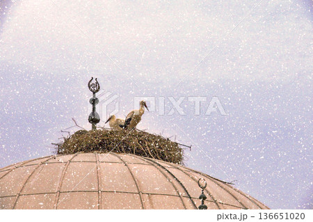 Storks Nesting on Mosque Dome in Winter Snow. White stork rests in a large twig nest atop a traditional mosque dome during a gentle winter snowfall, symbolizing peace and nature. Storks Nesting on Mosque Dome in Winter Snow. White stork rests in a large twig nest atop a traditional mosque dome during a gentle winter snowfall, symbolizing peace and nature. 136651020