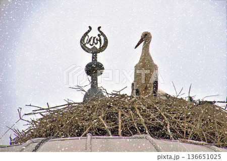 Storks Nesting on Mosque Dome in Winter Snow. White stork rests in a large twig nest atop a traditional mosque dome during a gentle winter snowfall, symbolizing peace and nature. Storks Nesting on Mosque Dome in Winter Snow. White stork rests in a large twig nest atop a traditional mosque dome during a gentle winter snowfall, symbolizing peace and nature. 136651025