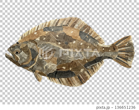 和紙で表現したヒラメの切り絵コラージュ 136651236