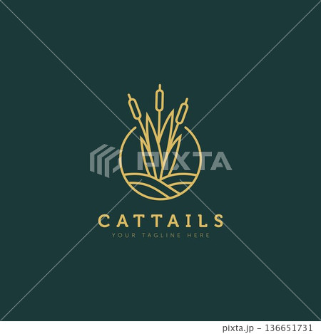cattails plant above the water minimalist flat design logo illustration design template. simple line art logo concept cattails plant above the water minimalist flat design logo illustration design template. simple line art logo concept 136651731