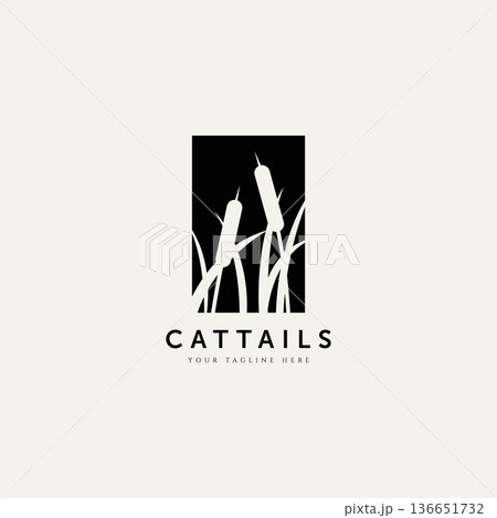 cattails plant silhouette logo vector illustration design template. minimalist simple logo concept 136651732