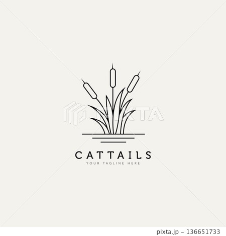 cattail plant outline minimalist logo design illustration design template. simple modern logo concept 136651733
