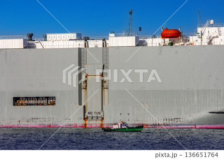 スエズ湾 136651764