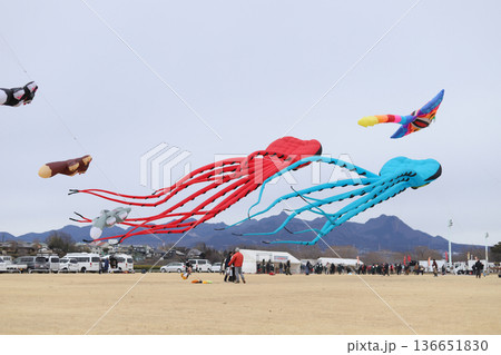 上州空っ風凧揚げ大会 上州空っ風凧揚げ大会 136651830