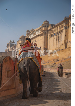 Amber fort, people on elephants. Jaipur. India 136652108