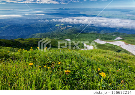 鳥海山・薊坂の高山植物と心字雪、月山の眺め 136652214