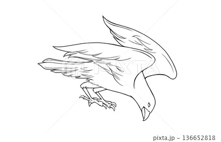 羽を広げたカラスの線画イラスト 羽を広げたカラスの線画イラスト 136652818