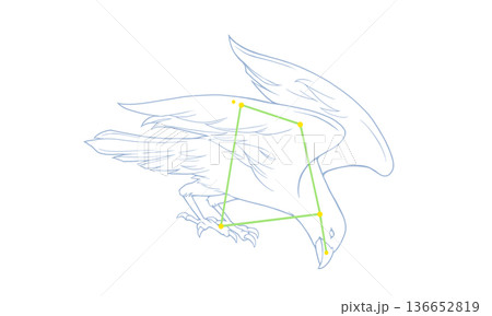 からす座のカラー線画イラスト（カラスの絵と星座線） 136652819