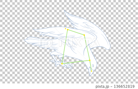 からす座のカラー線画イラスト（カラスの絵と星座線） 136652819