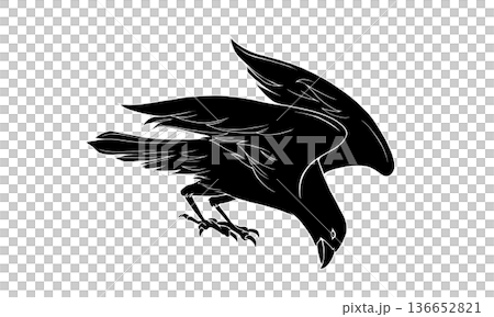 羽を広げたカラスの白黒イラスト（白のアウトラインあり） 136652821