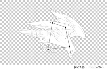 烏鴉座的單色線條畫（烏鴉圖案和星座線條） 136652822