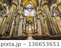 ミラノ大聖堂のドゥオーモ 136653651
