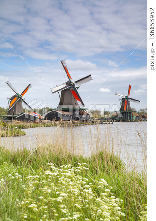 Dutch village of Zaandam. 136653952