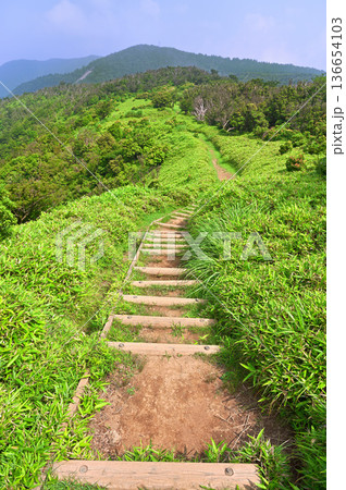 伊豆半島の伊豆山稜線歩道 夏の小達磨山より望む金冠山 伊豆半島の伊豆山稜線歩道 夏の小達磨山より望む金冠山 136654103