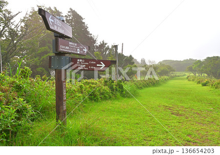 伊豆半島の伊豆山稜線歩道 金冠山手前の分岐 だるま山高原の歩道 伊豆半島の伊豆山稜線歩道 金冠山手前の分岐 だるま山高原の歩道 136654203