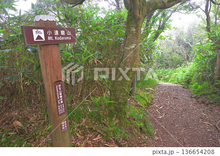 伊豆半島の伊豆山稜線歩道 樹木に囲まれた小達磨山山頂 伊豆半島の伊豆山稜線歩道 樹木に囲まれた小達磨山山頂 136654208