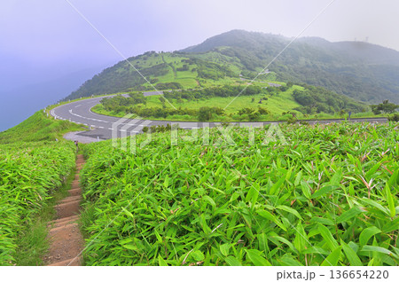 伊豆半島 夏の伊豆山稜線歩道 達磨山より小達磨山と西伊豆スカイライン 伊豆半島 夏の伊豆山稜線歩道 達磨山より小達磨山と西伊豆スカイライン 136654220