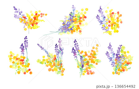 水彩画。水彩タッチのラベンダーベクターイラスト。ラベンダーの春植物背景。 136654492