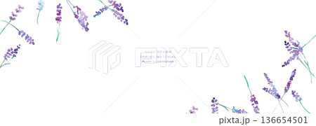 水彩画。水彩タッチのラベンダーベクターイラスト。ラベンダーの春植物背景。 水彩画。水彩タッチのラベンダーベクターイラスト。ラベンダーの春植物背景。 136654501
