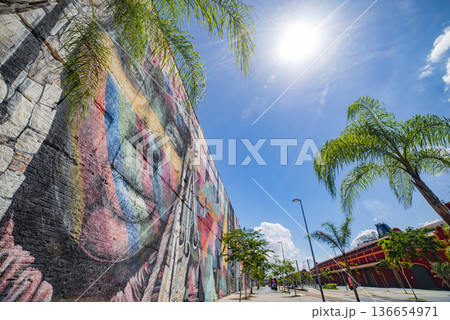 Mural Rio De Janeiro Mural Rio De Janeiro 136654971
